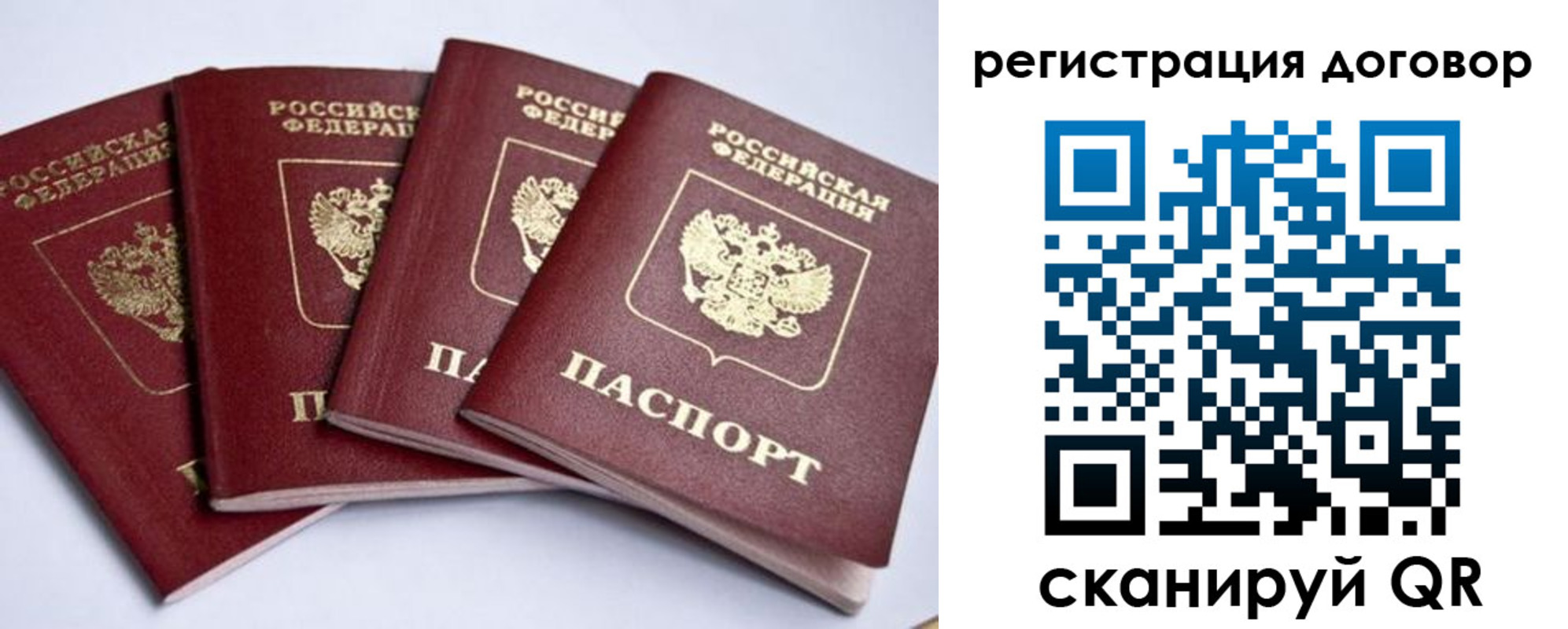 прописка паспорт в Вязьме